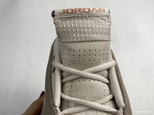Retro Terra 14 Low Clot Blush Jordan DC9857-200 AIR 0821